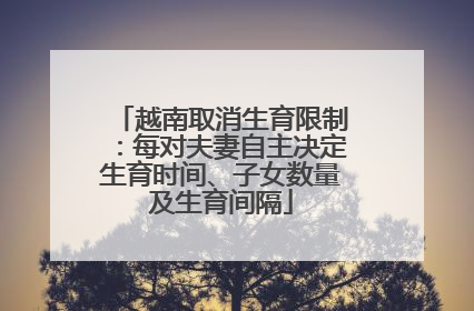 越南取消生育限制：每对夫妻自主决定生育时间、子女数量及生育间隔