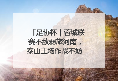 足协杯｜蓉城联赛不敌弱旅河南，泰山主场作战不妨“抄作业”