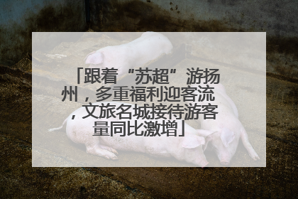 跟着“苏超”游扬州，多重福利迎客流，文旅名城接待游客量同比激增