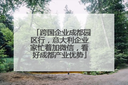 跨国企业成都园区行，意大利企业家忙着加微信，看好成都产业优势
