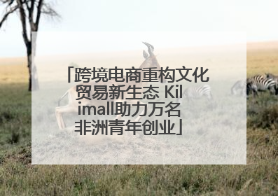 跨境电商重构文化贸易新生态 Kilimall助力万名非洲青年创业