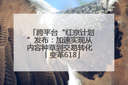 跨平台“红京计划”发布：加速实现从内容种草到交易转化丨变革618