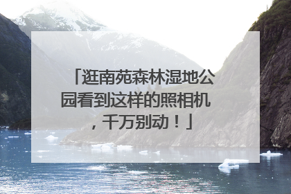 逛南苑森林湿地公园看到这样的照相机，千万别动！