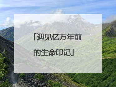 遇见亿万年前的生命印记