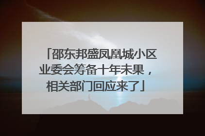 邵东邦盛凤凰城小区业委会筹备十年未果，相关部门回应来了