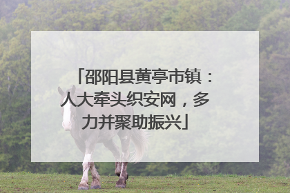 邵阳县黄亭市镇：人大牵头织安网，多力并聚助振兴