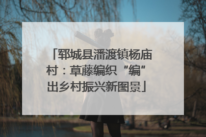 郓城县潘渡镇杨庙村：草藤编织“编”出乡村振兴新图景