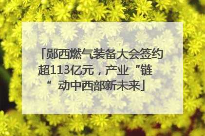 郧西燃气装备大会签约超113亿元，产业“链”动中西部新未来