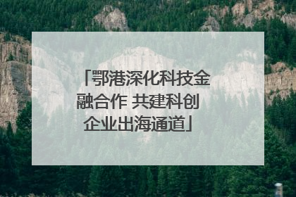 鄂港深化科技金融合作 共建科创企业出海通道