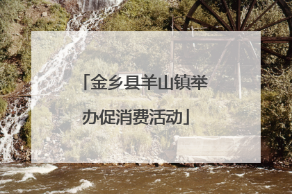 金乡县羊山镇举办促消费活动