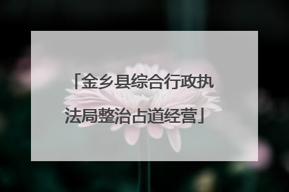 金乡县综合行政执法局整治占道经营