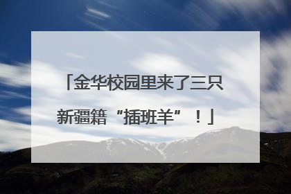 金华校园里来了三只新疆籍“插班羊”！