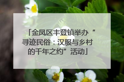 金凤区丰登镇举办“寻迹民俗：汉服与乡村的千年之约”活动