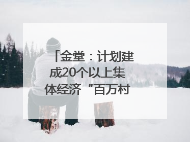 金堂：计划建成20个以上集体经济“百万村”｜成都县市新城高质量发展