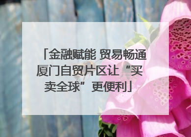 金融赋能 贸易畅通 厦门自贸片区让“买卖全球”更便利