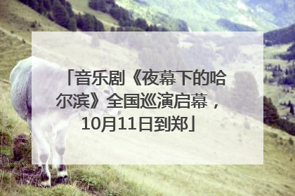 音乐剧《夜幕下的哈尔滨》全国巡演启幕，10月11日到郑