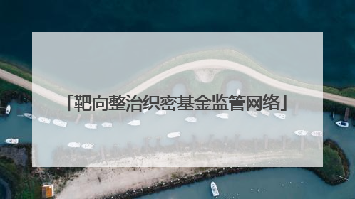 靶向整治织密基金监管网络