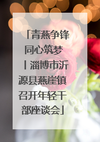 青燕争锋 同心筑梦丨淄博市沂源县燕崖镇召开年轻干部座谈会