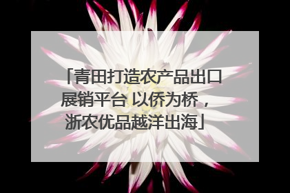 青田打造农产品出口展销平台 以侨为桥，浙农优品越洋出海