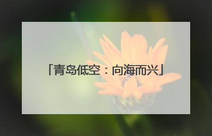 青岛低空：向海而兴