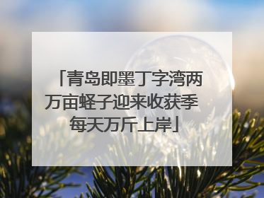 青岛即墨丁字湾两万亩蛏子迎来收获季 每天万斤上岸