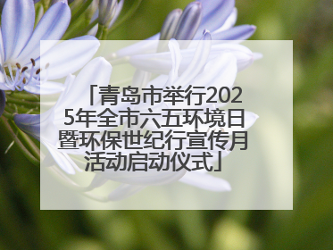 青岛市举行2025年全市六五环境日暨环保世纪行宣传月活动启动仪式