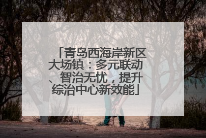 青岛西海岸新区大场镇：多元联动、智治无忧，提升综治中心新效能