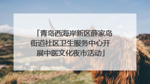 青岛西海岸新区薛家岛街道社区卫生服务中心开展中医文化夜市活动