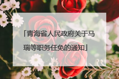 青海省人民政府关于马瑞等职务任免的通知