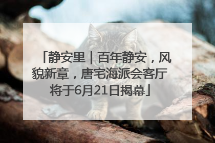 静安里｜百年静安，风貌新章，唐宅海派会客厅将于6月21日揭幕