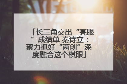 长三角交出“亮眼”成绩单 秦诗立：聚力抓好“两创”深度融合这个棋眼