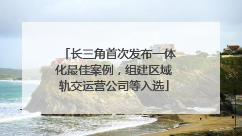 长三角首次发布一体化最佳案例，组建区域轨交运营公司等入选