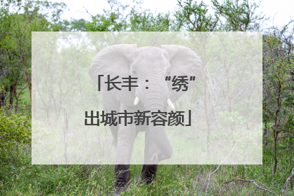 长丰：“绣”出城市新容颜