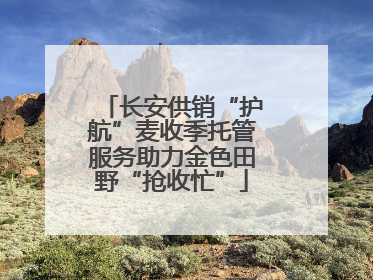 长安供销“护航”麦收季托管服务助力金色田野“抢收忙”