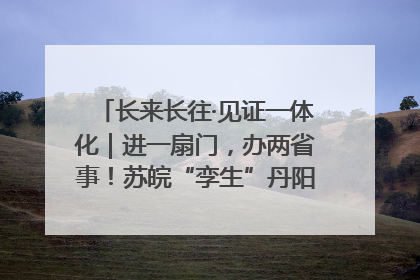 长来长往·见证一体化｜进一扇门，办两省事！苏皖“孪生”丹阳如何做到的？
