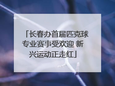 长春办首届匹克球专业赛事受欢迎 新兴运动正走红