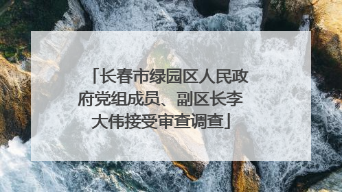 长春市绿园区人民政府党组成员、副区长李大伟接受审查调查