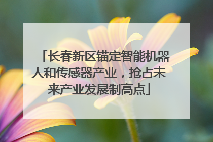 长春新区锚定智能机器人和传感器产业，抢占未来产业发展制高点