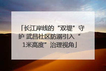 长江岸线的“双堤”守护 武昌社区防溺引入“1米高度”治理视角