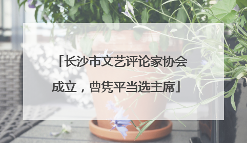 长沙市文艺评论家协会成立，曹隽平当选主席