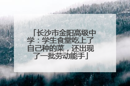 长沙市金阳高级中学：学生食堂吃上了自己种的菜，还出现了一批劳动能手