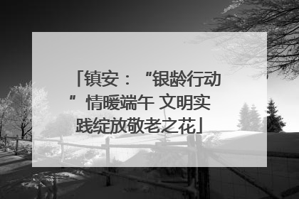 镇安：“银龄行动”情暖端午 文明实践绽放敬老之花