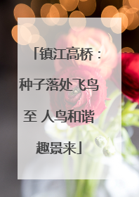 镇江高桥：种子落处飞鸟至 人鸟和谐趣景来