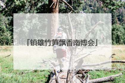 镇雄竹笋飘香南博会