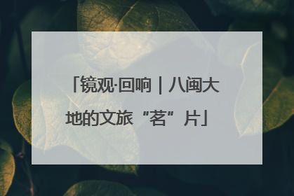 镜观·回响｜八闽大地的文旅“茗”片