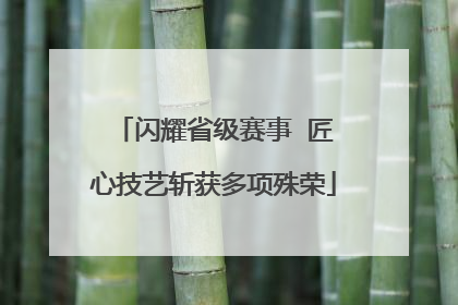 闪耀省级赛事  匠心技艺斩获多项殊荣