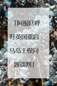 阿根廷呼吁英国重启马岛主权问题谈判