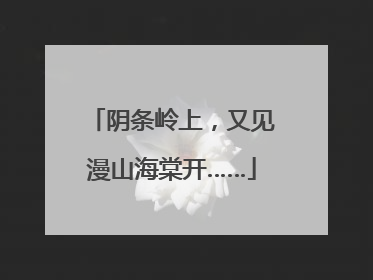 阴条岭上，又见漫山海棠开……