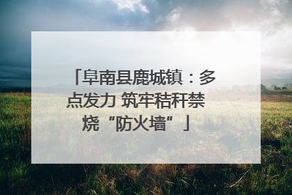 阜南县鹿城镇：多点发力 筑牢秸秆禁烧“防火墙”