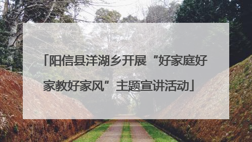 阳信县洋湖乡开展“好家庭好家教好家风”主题宣讲活动